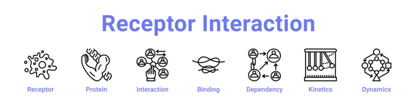 Receptor Interaction Icon Banner Line Art