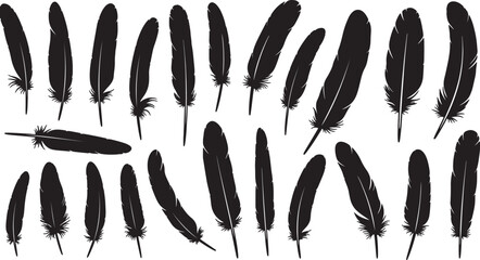 Assortment of black feather silhouettes in various sizes and orientations scattered across a white background representing nature and artistic also transparent background © BeCoolOk