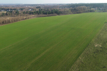 Obraz premium Aerial panorama of farmland with forest border