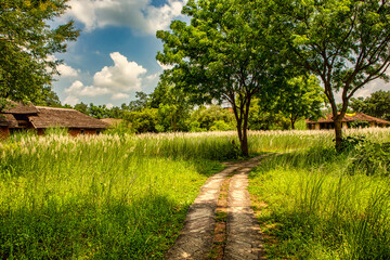 Village landscape of Madhya Pradesh