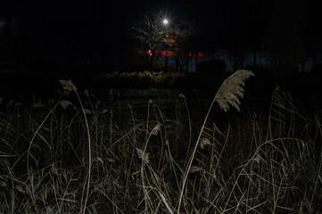 겨울, 대한민국, 한국, 서울, 