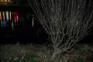 겨울, 대한민국, 한국, 서울, 