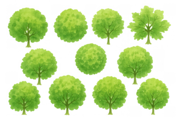 Watercolor tree collection featuring various green forest and park plants with translucent foliage, transparent background