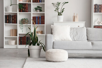 Interior of modern living room with sofa and bookshelves © Pixel-Shot