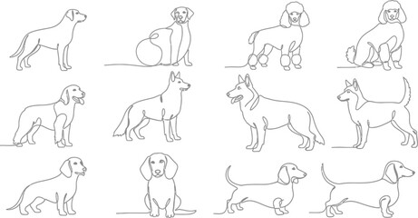 Dog illustration collection © Hridoy