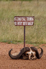 hola voy a subir unas fotos realizadas en Kenia Africa en adobe stock y necesito palabras clave ordenadas por importancia para que encuentren bien mis fotos y las puedan comprar las quiero las palabra © DavidEnFoco