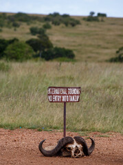 hola voy a subir unas fotos realizadas en Kenia Africa en adobe stock y necesito palabras clave ordenadas por importancia para que encuentren bien mis fotos y las puedan comprar las quiero las palabra © DavidEnFoco