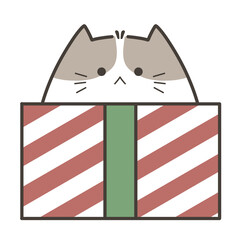 Cute Cat in Christmas Gift Box