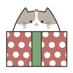 Cute Cat in Christmas Gift Box