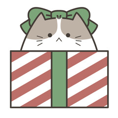 Cute Cat in Christmas Gift Box with Bow
