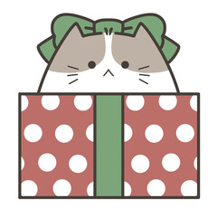 Cute Cat in Christmas Gift Box with Bow