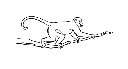 Monkey on a branch outline