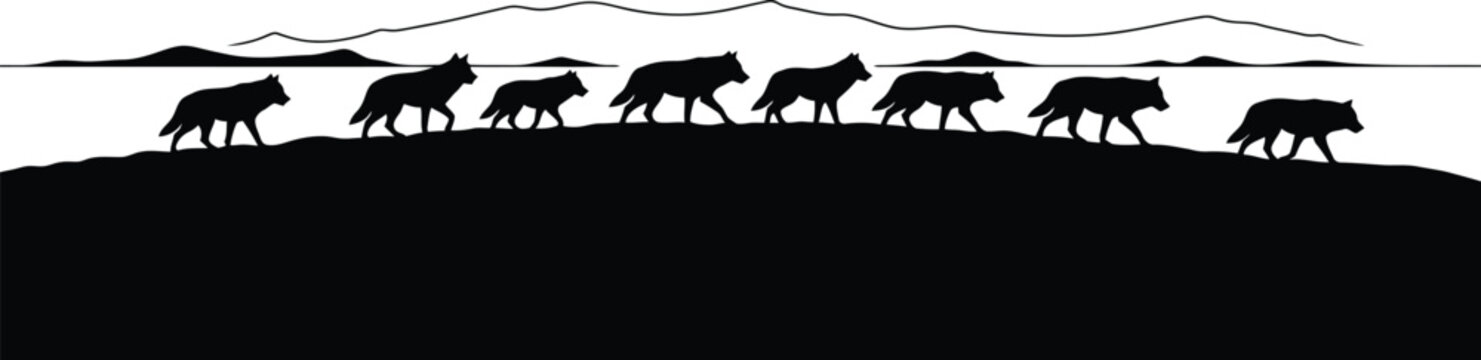 Wolf pack walking silhouette