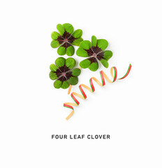 Four leaf clover isolated on white background.