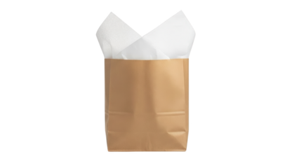 A brown paper bag with white tissue paper sticking out is shown upright.