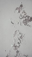 White walls with peeling paint