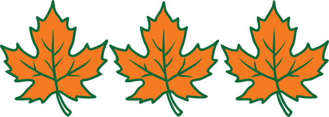 autumn leaves collection