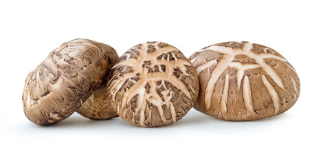 Front view of three shiitake mushrooms in stack isolated on white background with clipping path