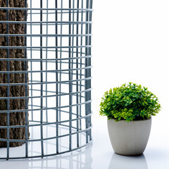 A serene small potted plant stands beside a tall wire mesh structure on a reflective white surface.