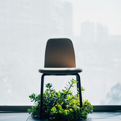 A lone chair sits in front of a window with a lush green plant underneath, overlooking a blurred cityscape outside