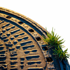 A manhole cover with grass growing out of it, viewed from above, outdoors in a urban environment