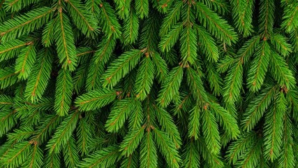 Dense close-up showcasing fresh green pine needles, evoking a natural, festive, and evergreen holiday background ambiance. - Powered by Adobe