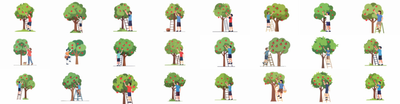 Collection of Flat Illustrations Showcasing People Picking Ripe Apples from Fruit Trees using Ladders in an Orchard or Garden, Isolated Vector Set