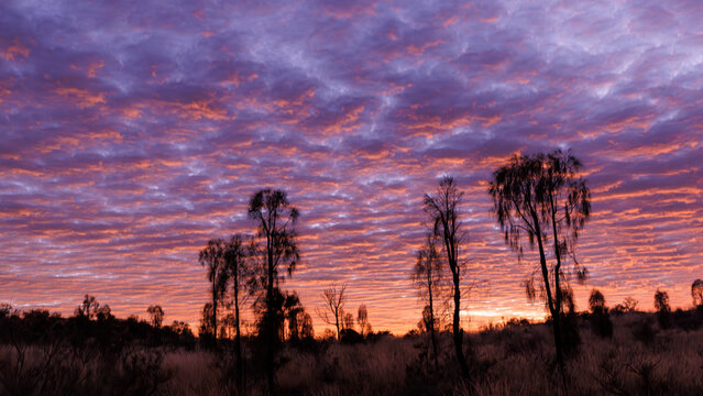 Cloudy sky at sunrise somewhere in the outback, Northern Territory, Australia