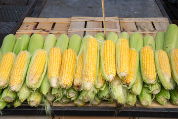 A pile of corn cobs on a market stall.

