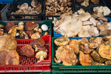 Various types of edible mushrooms in crates on a market stall.

