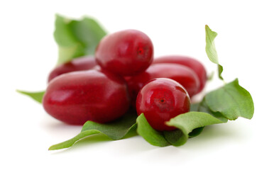 Fresh cornelian cherry berries with leaves isolated on white