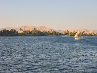 Traditional Egyptian felluca river sailing boats sailing on the Nile in landscape with West Bank in the background