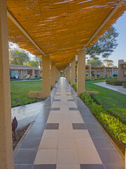 Abstract perspective of walkway footpath leading through private gardens with shading cover and pillar columns