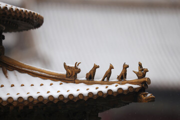 forbidden city beijing