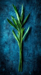 Fresh Tarragon Leaves on a Dusty Blue Wall Background