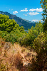 Fototapeta premium A beautiful and bright summer landscape of forested mountains against the sky on a bright sunny day, trees and grass, clouds in the blue sky