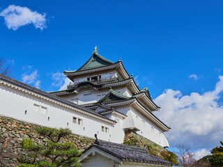 秋の青空と和歌山城の風景