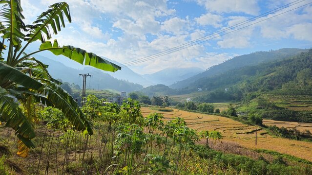 Wide landscape view of harvested terraced rice fields in northern Vietnam. - Powered by Adobe