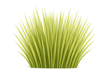 Clump of fresh green lawn grass with blades growing upwards, creating a lush natural plant texture, transparent background