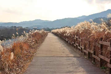 창원 주남저수지 산책로 풍굥