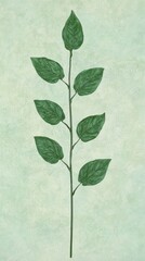 Soft Pastel Background with Foliage of Fresh Oregano Leaves