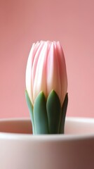 Delicate Pink Budding Flower with Soft Coral Background