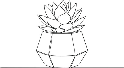 Minimalist one line drawing of succulent plant in geometric pot continuous black line art on white background.