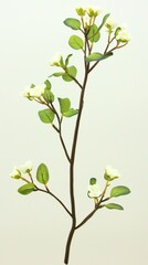Elegant Pale Cream Mistletoe Sprig on Soft Neutral Background