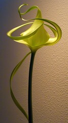 Elegant Twisting Stem of a Beige Vanilla Herb Against a Soft Wall