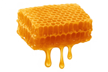 Golden honeycomb dripping natural sweet honey, raw organic bee food oozing sticky liquid, transparent background