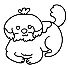 Obraz premium cute chizu dog sit on floor