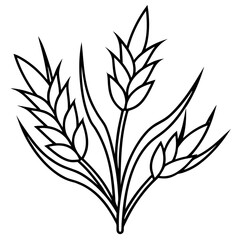 Obraz premium Oats line art vector