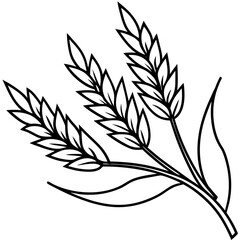 Fototapeta premium Oats line art vector