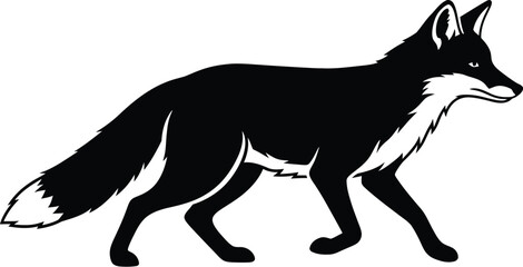 Obraz premium Silhouette of a fox walking in side view